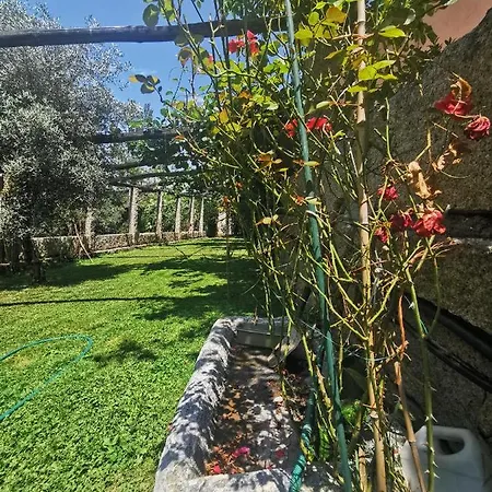 Exclusiva Mariano Con Acceso Directo Al Rio Semesterbostad